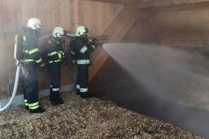 Foto: FF Groß Gerungs&nbsp; 